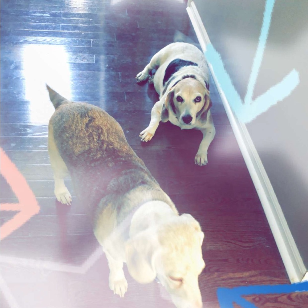 Meet your Posher, Caroline